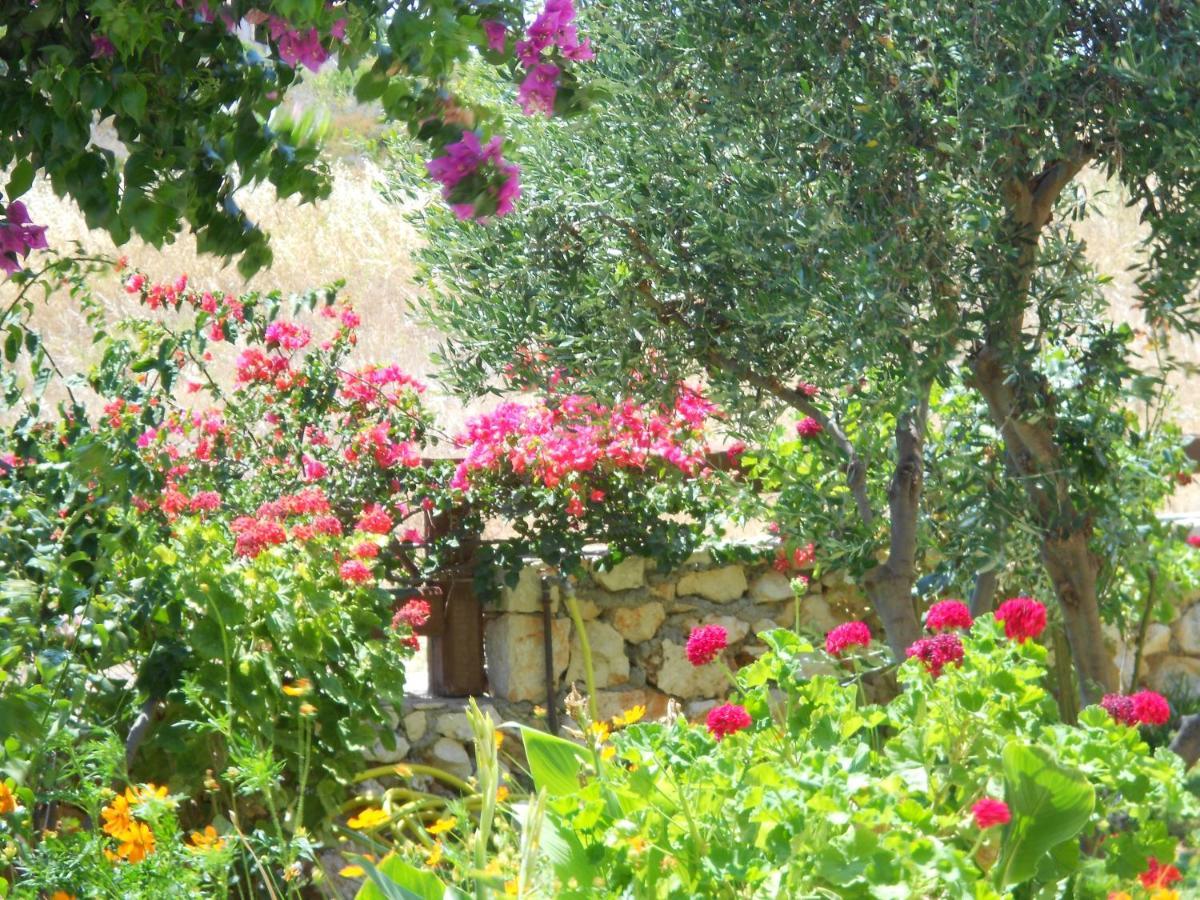 Livadaki Village Hotel Skala  Luaran gambar