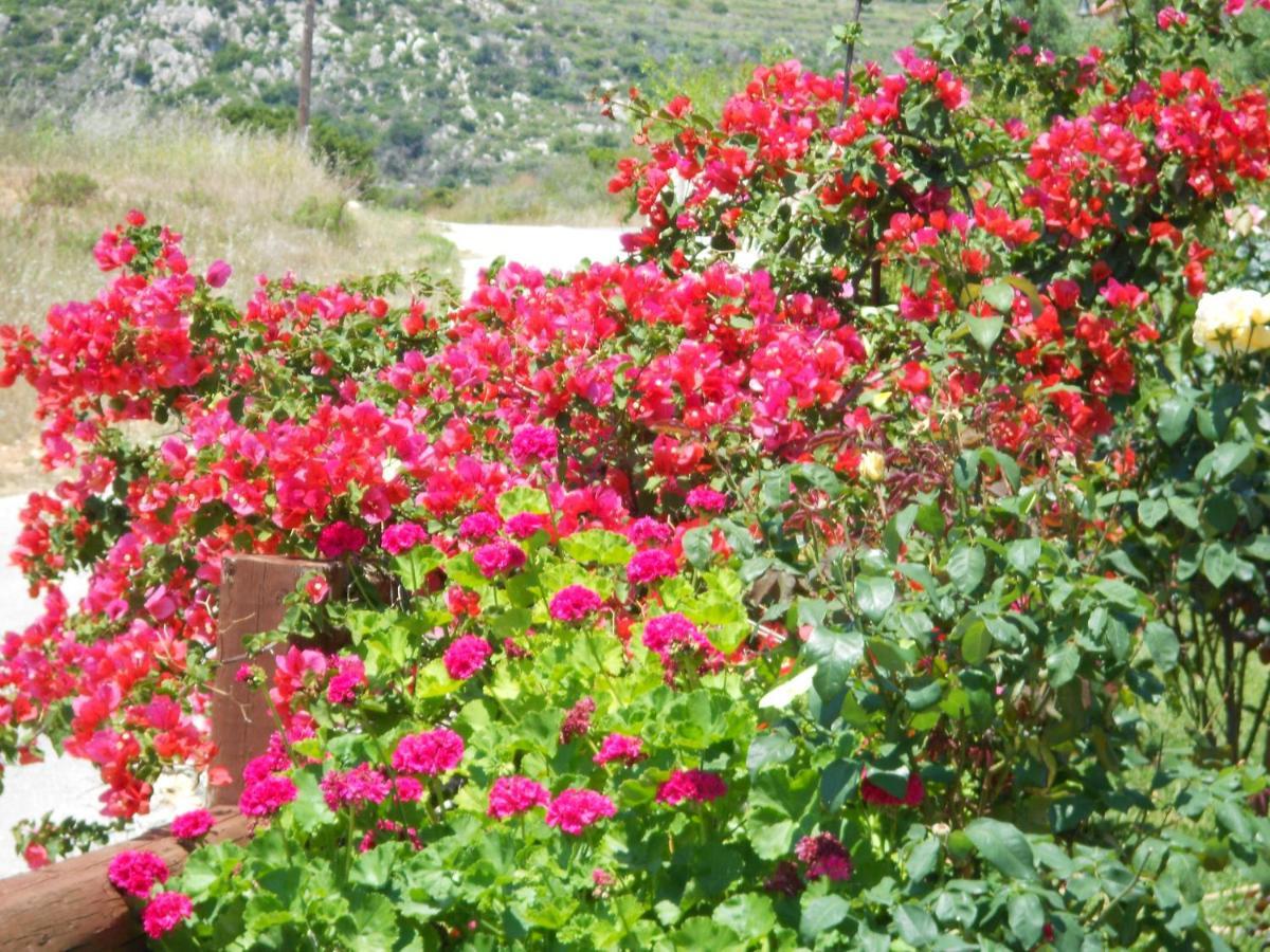 Livadaki Village Hotel Skala  Luaran gambar